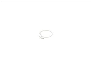 Sample Loop Stainless Steel 100 µL for G1313A G1329A/B Autosampler (01078-87302)
