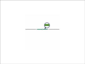 Agilent Bio QT Capillary MP35N 0.17 x 400 mm (5500-1603)