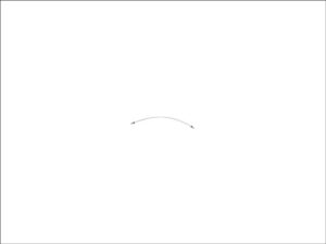 Agilent PEEK Tubing 0.12 x 520 mm for Waters (8005-0812)