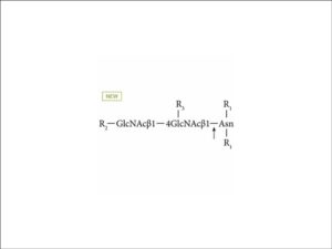 Agilent AdvanceBio N-Glycanase, >=2.5 U/mL (GKE-5006D)