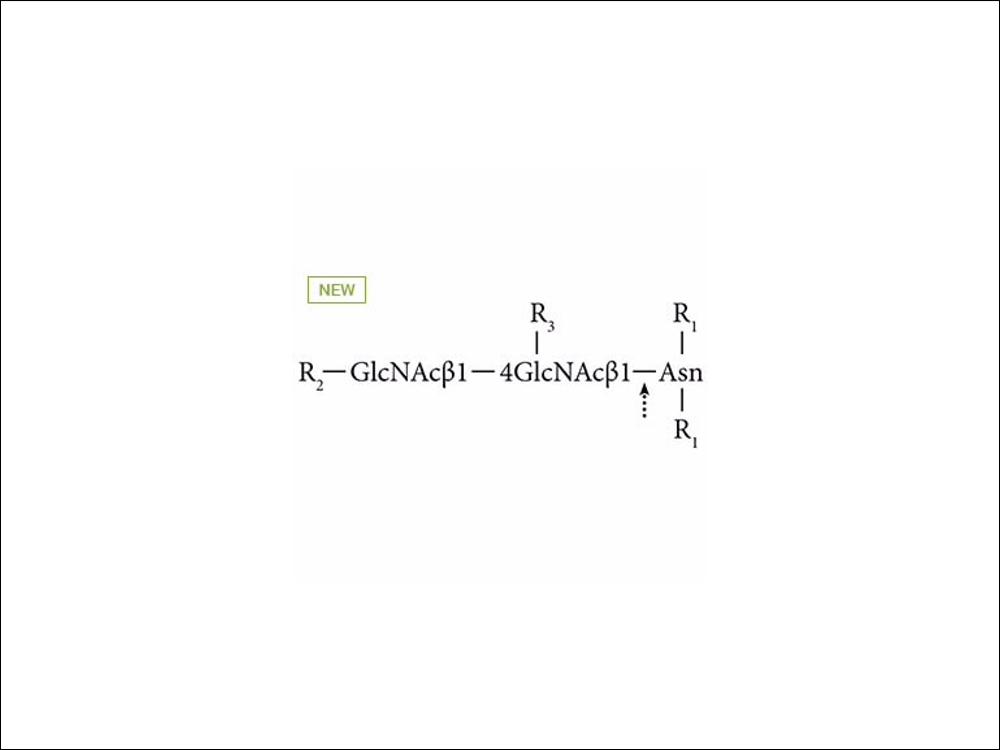 Agilent AdvanceBio N-Glycanase, EDTA-Free, >=2.5 U/mL (GKE-5016A)