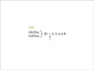 Agilent Beta-N-Acetylhexosaminidase (Jack Bean) (GKX-5003)