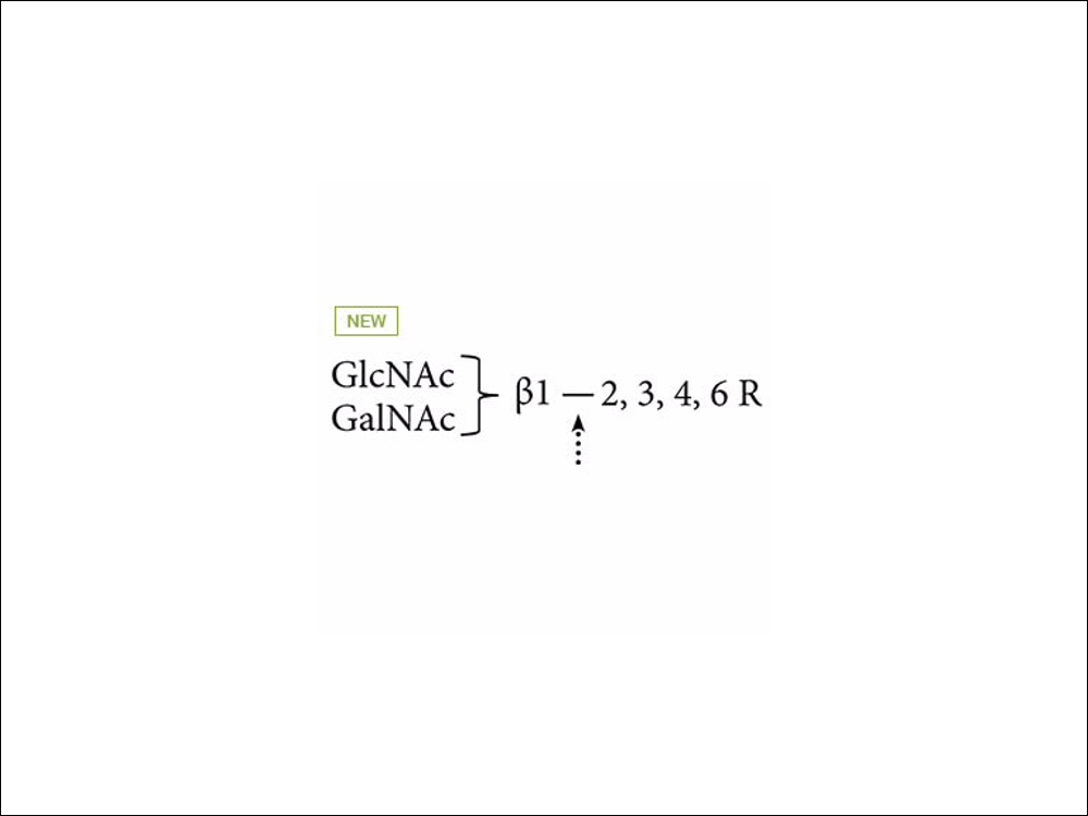Agilent Beta-N-Acetylhexosaminidase (Jack Bean) (GKX-5003)