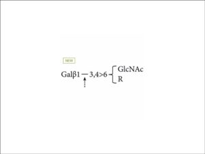 Agilent Beta-(1-3,4)-Galactosidase (Bovine Testis) (GKX-5013)
