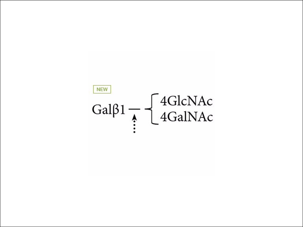 Agilent Beta-(1-4)-Galactosidase (Streptococcus Pneumoniae) (GKX-5014)