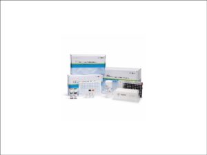 Agilent AdvanceBio Gly-X N-Glycan Prep with InstantPC Kit, 24-ct (GX24-IPC)