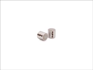 ستون HPLC مدل Agilent PLRP-S 300Å, 3 x 5 mm 5 µm (PL1612-1801)